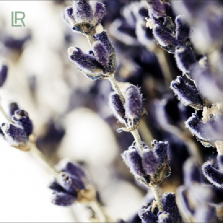 vitaliteit 2